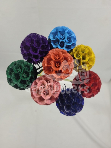 scabiosa mix PNT