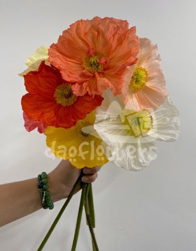 poppy mix