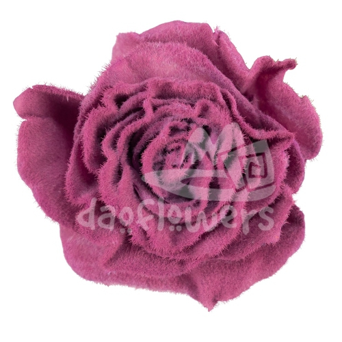 Velvet Blush PNT
