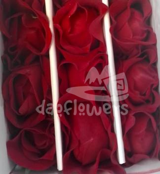 peony red