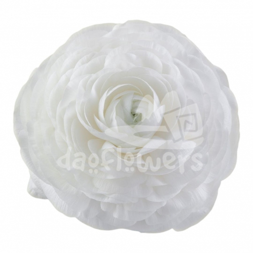 elegance Bianco