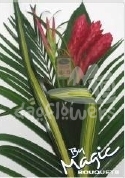 bq 1 ginger red