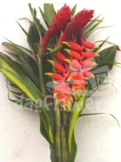 bq 48 carioca